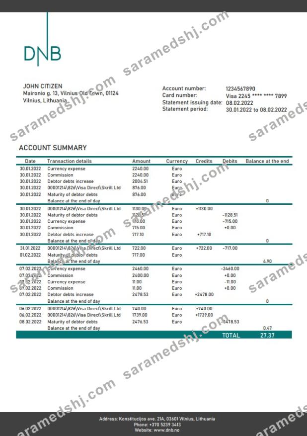 Lithuania DNB (Litva) bank statement
